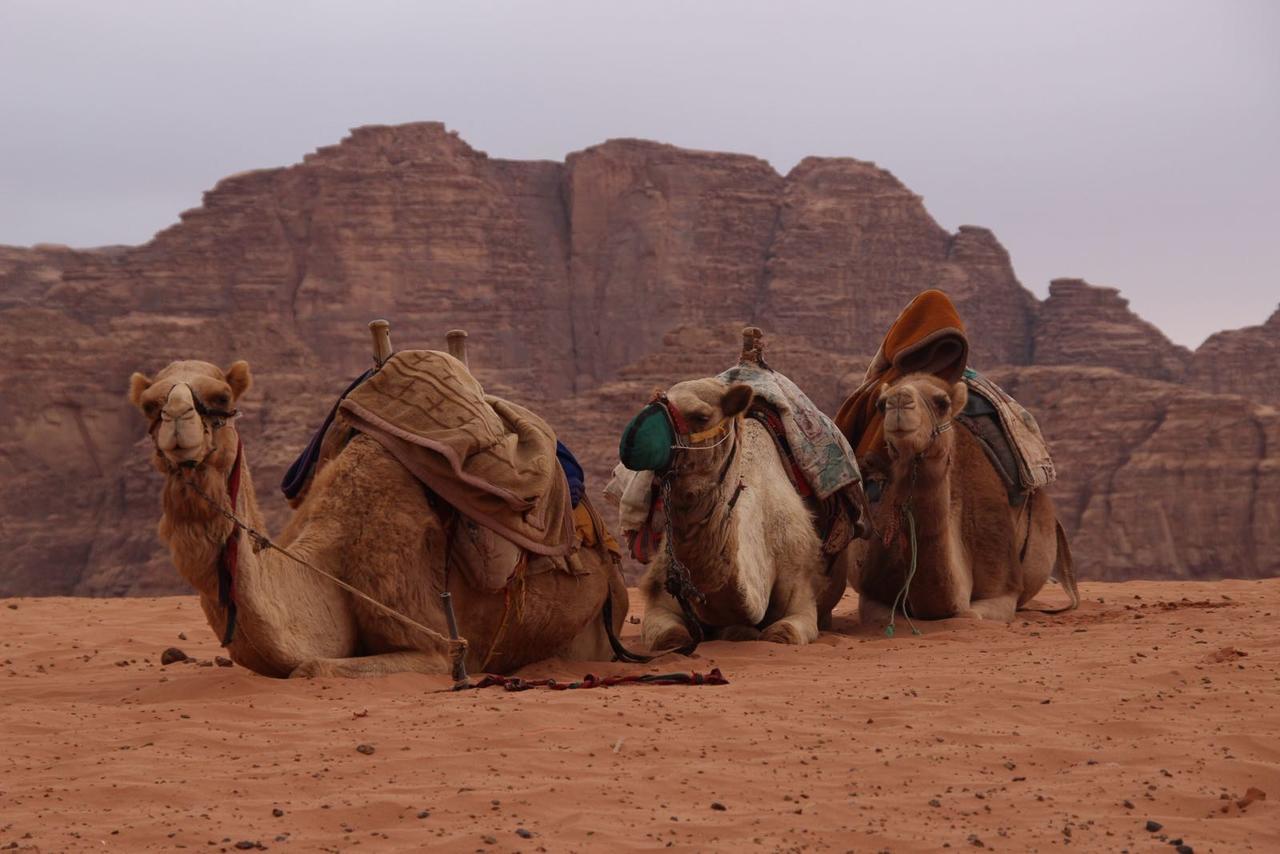 Wadi Rum Desert Secret Camp วาดิรัม ภายนอก รูปภาพ