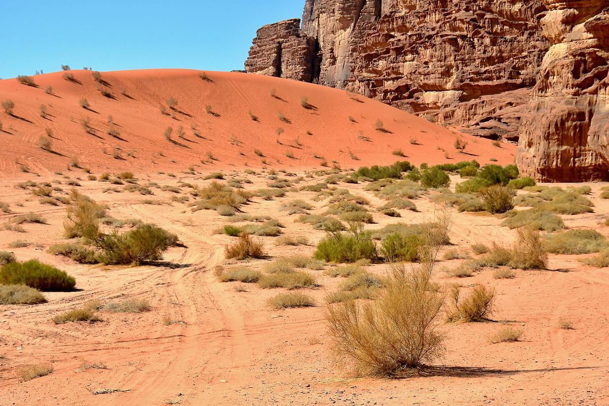 Wadi Rum Desert Secret Camp วาดิรัม ภายนอก รูปภาพ