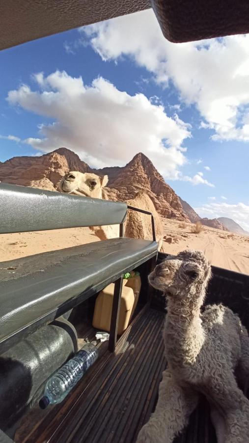 Wadi Rum Desert Secret Camp วาดิรัม ภายนอก รูปภาพ